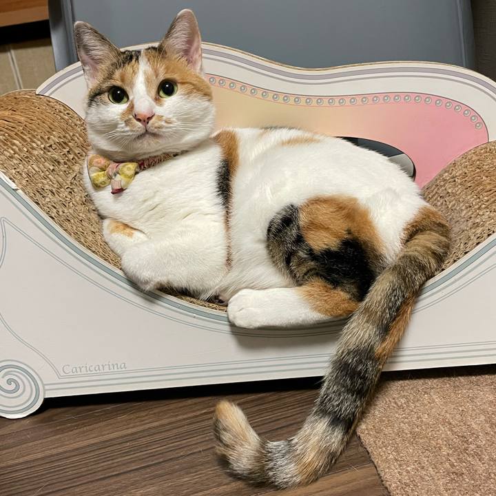 A99702b5 ff21 4cb8 bc8c 93d919f9240e 1638888643440