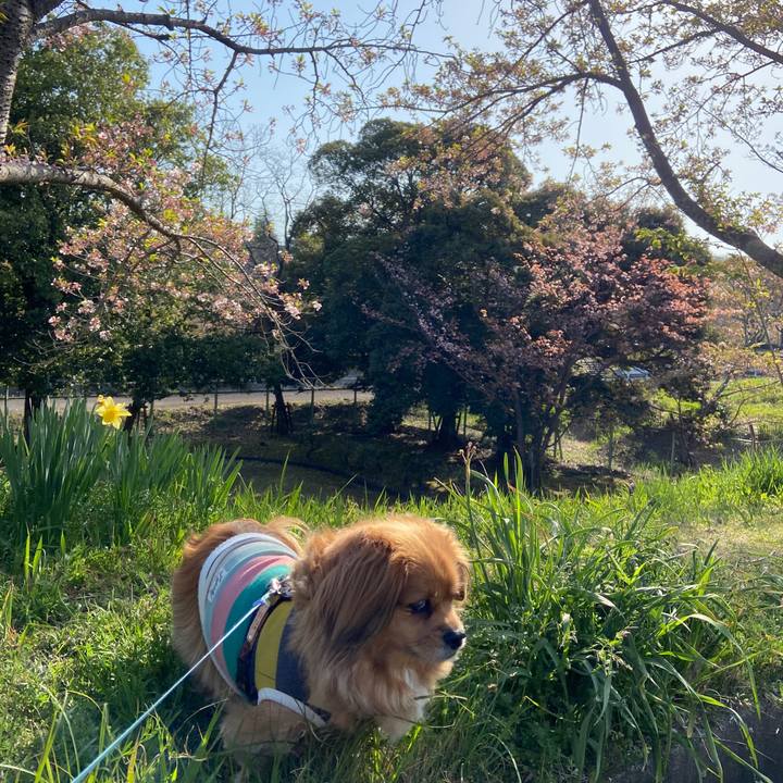 A9970fdb 39be 495e a291 351e70d75446 1649546922885