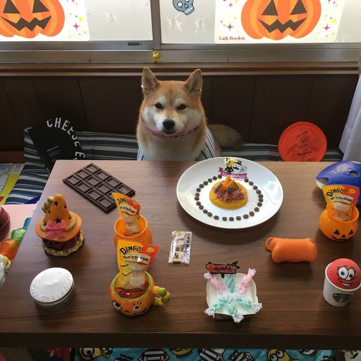 A9971676 a3ad 43cd bb78 205c53ff3ed1 1540959925626