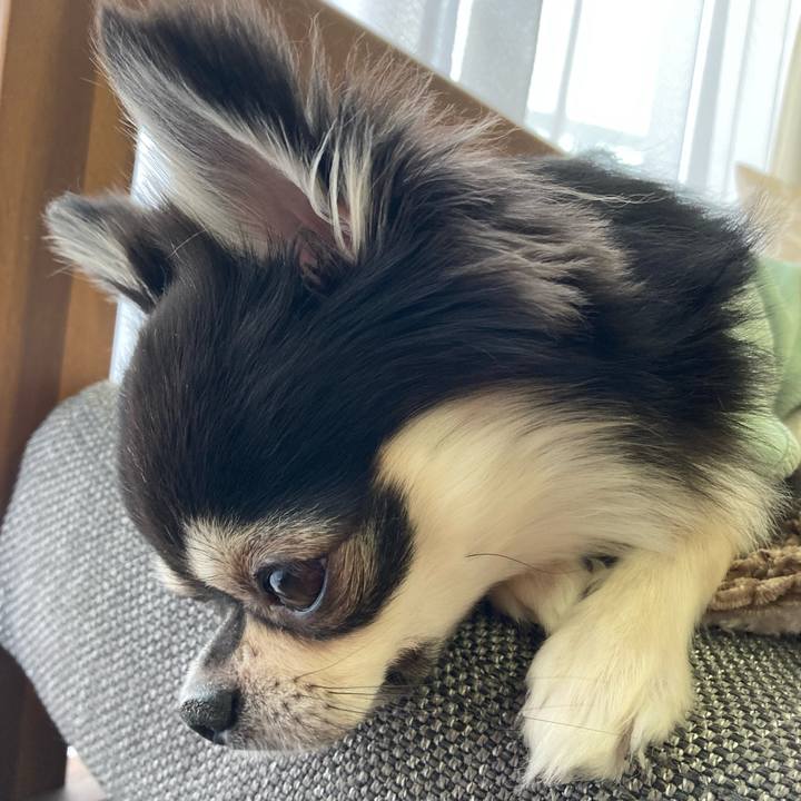 A9978c3a addb 4993 be82 abf46cef58f4 1647842965864