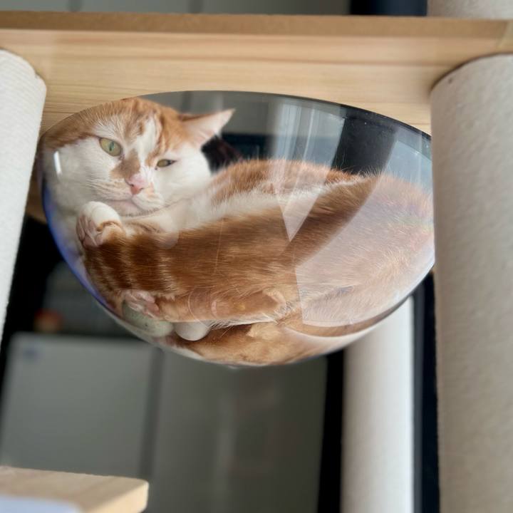 A9980690 7000 4dae a0d8 74fe9c0ccc83 1760495384755