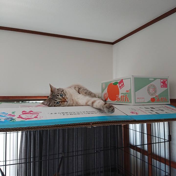 A9982a15 db90 4e6c 83ce 5036825b875b 1557636898105