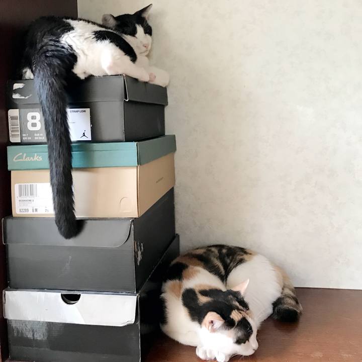 A9982d32 ab69 4bff 993a 072d6a705eea 1536285489888