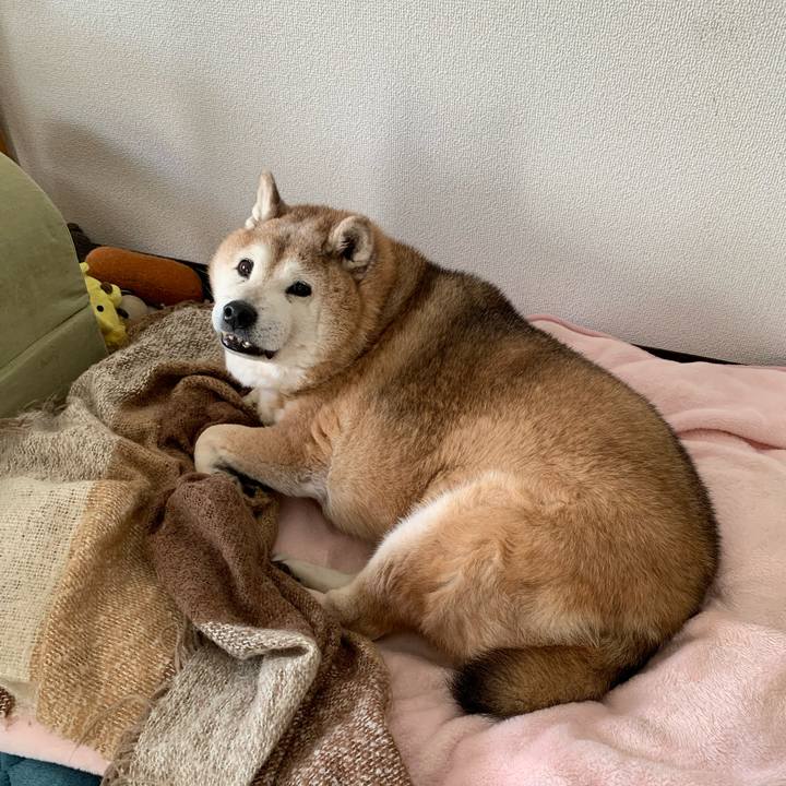 A9988da9 b88e 4f12 899f 761a22a2b64a 1646831425485