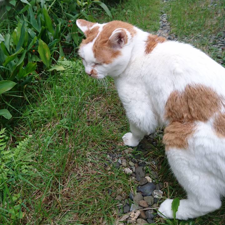 A998a9f0 fbff 4662 b945 4b78c6d5c55b 1534587303861