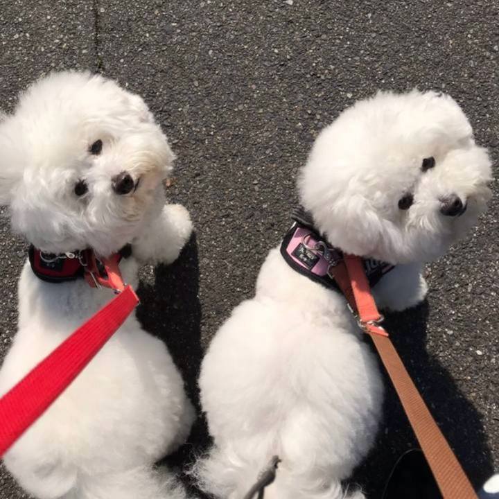 A998aeba 9e57 4d9c 9021 06a4c36559dc 1741129296698