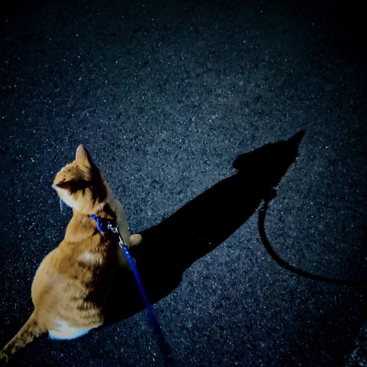 A9992a5b 3268 4b04 93e3 ef028809803a 1561725600859