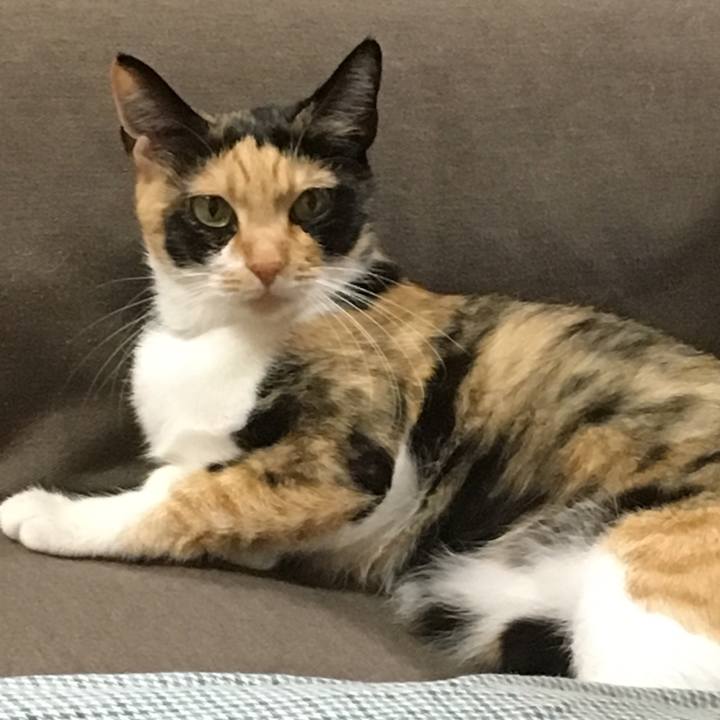 A9992d99 ebee 4d4b a52e 26bbd30add07 1508763803716