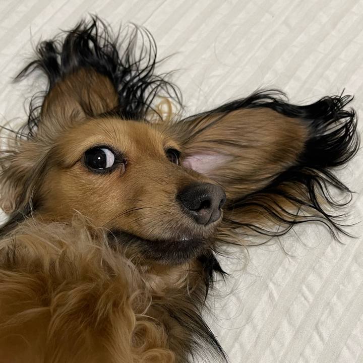 A9998833 967f 4326 ba29 7b48325971cf 1664626490942