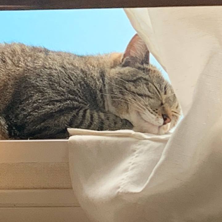 A99988f9 ac76 4e6c 8560 9a7dc533d86f 1592569052251