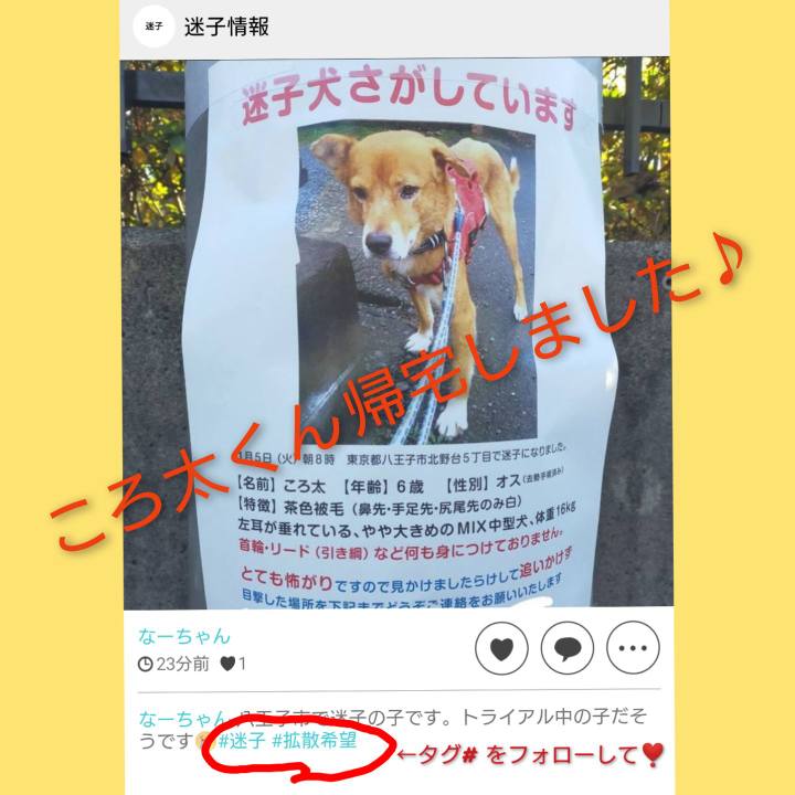 A999939d ae4a 4e91 aaff d83edcfd40f8 1611104985802