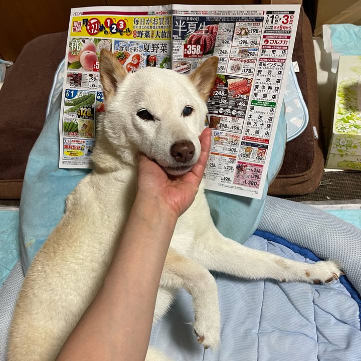 A999badd 4871 455e a093 deb2a003cc71 1656856464274