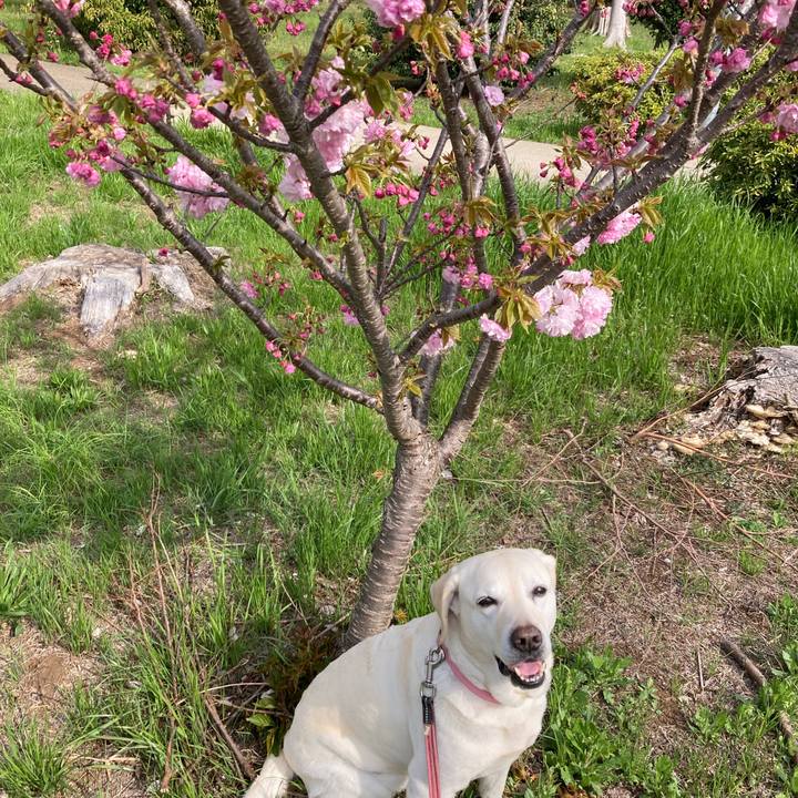 A999c891 6b15 4bab 90e3 4259cadd0ec4 1744933403780