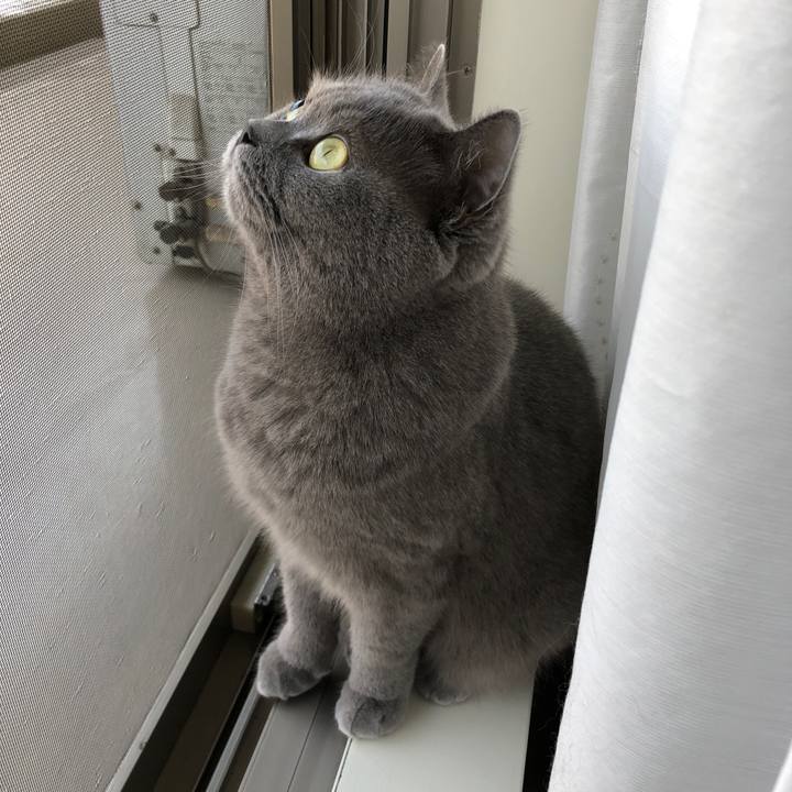 A999dee0 f02e 43fa a22a 4f8fdab4c626 1524355191824