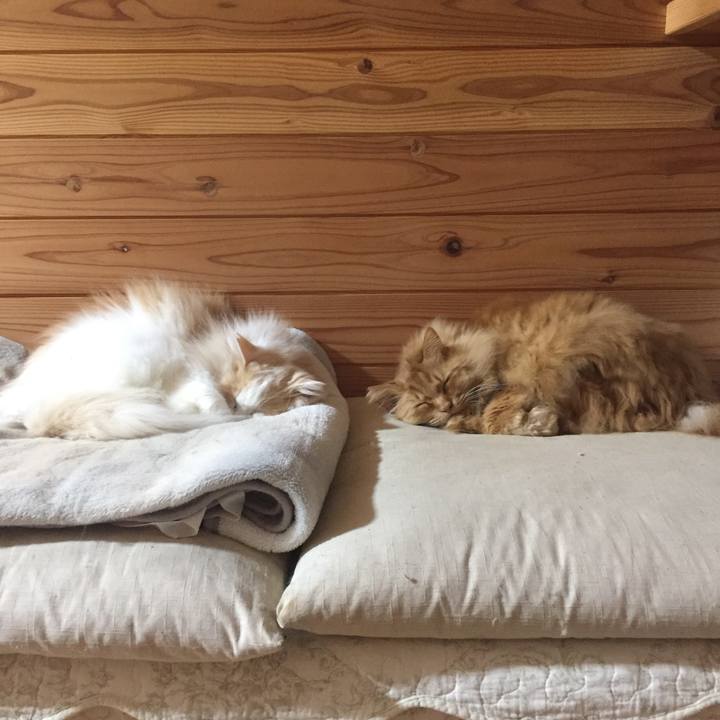 A999f27f f44b 461c aaeb e8d5998800a9 1611697325147