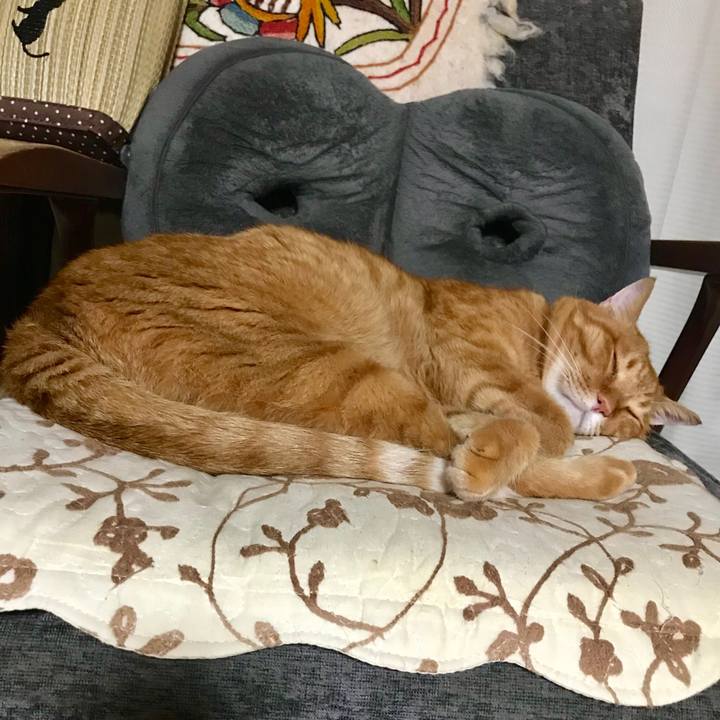 A99a00ce a35e 4054 9818 b36802708442 1532863259902