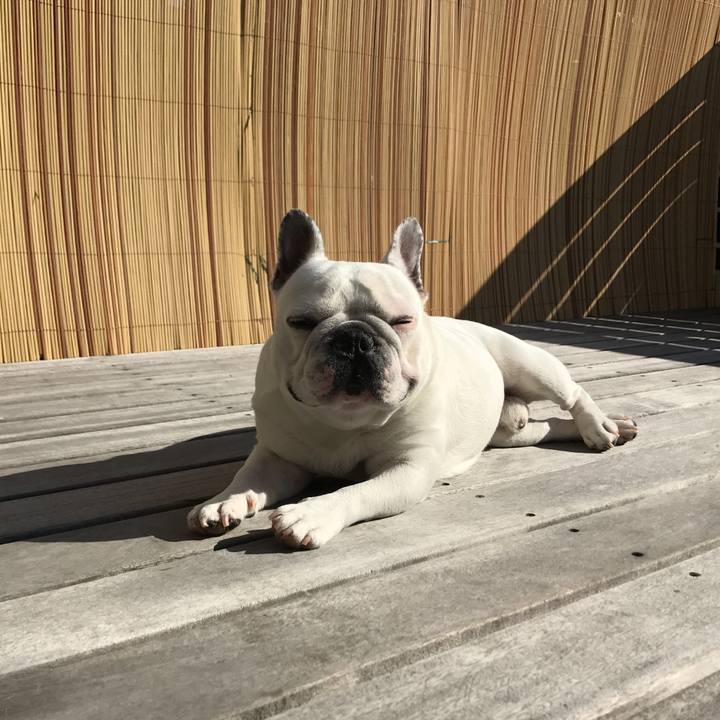 A99a219c 0332 4a96 83d2 0254d23c8a57 1509063197458