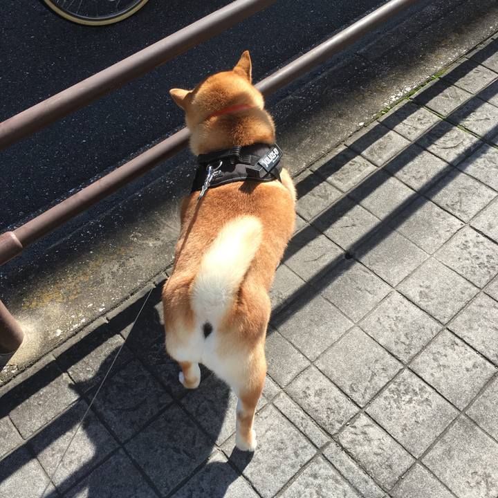 A99a37ae 8992 40a5 bb94 b731b16b9583 1540786836755