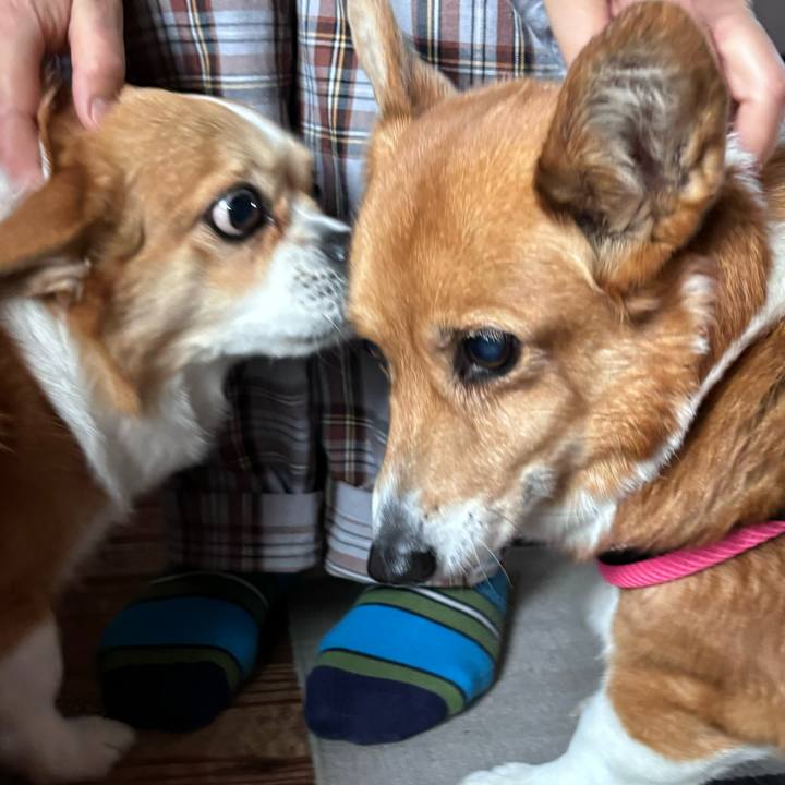 A99a4248 463f 4032 a049 5cfdad5cb7d3 1738989652301