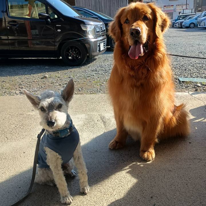 A99a5072 c3a6 40af 9d62 afaba43e649e 1774614238972