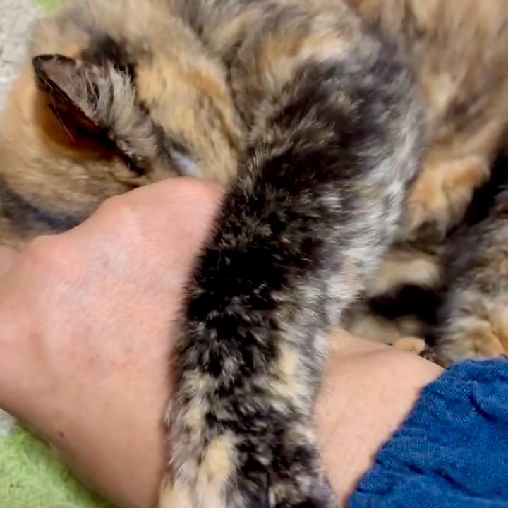 A99a6c04 cfa7 481f b835 27f105728000 1751505853791