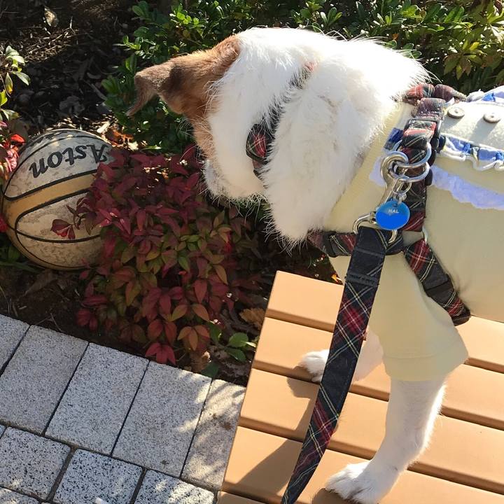 A99a80a2 3106 4f18 bc1d b9389264aaa9 1573864694136