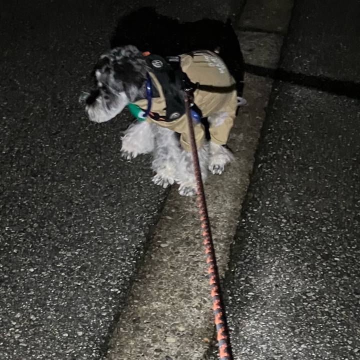 A99a8d8c 5114 4ecb 9a83 f847c7689d3d 1729691969979