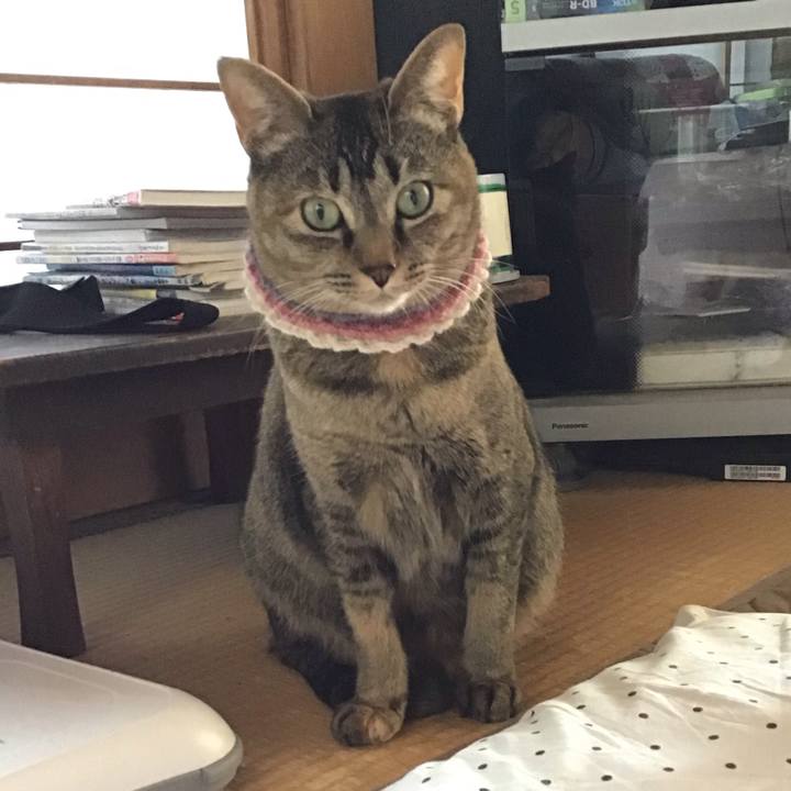 A99ac6ee 8793 4382 aedc 037a35fd04bd 1618054140389