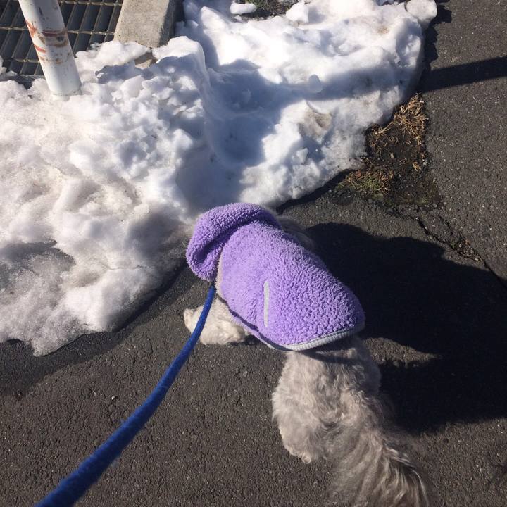 A99b2c31 cac8 4205 933c 032521b906ae 1517028051568