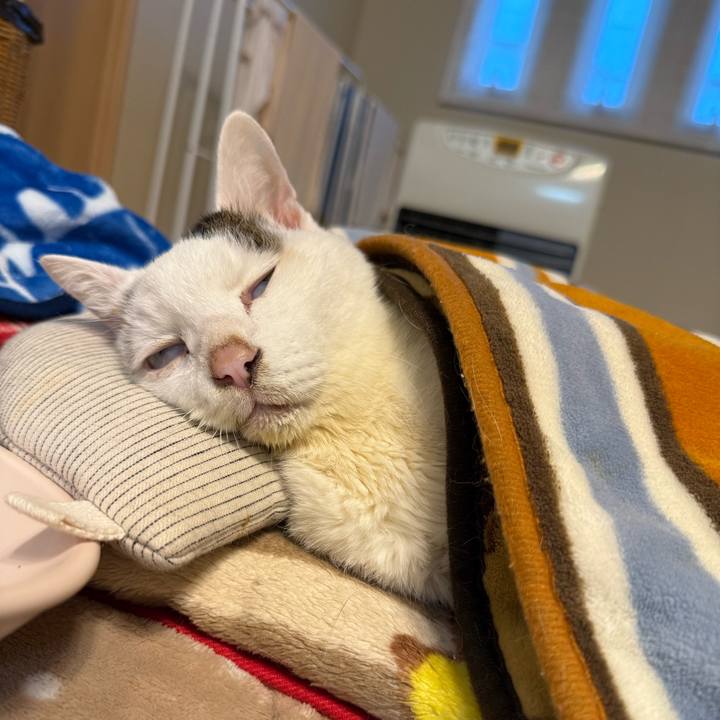 A99b3490 ecb8 4541 b67b ed05467c4716 1767911598635