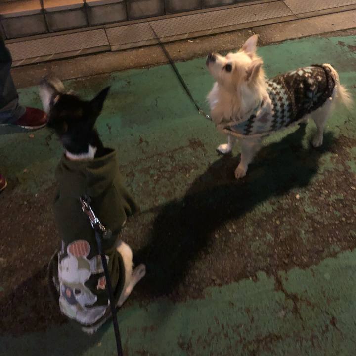 A99b4502 7916 4d8e ab17 58245e5c2feb 1518231433823