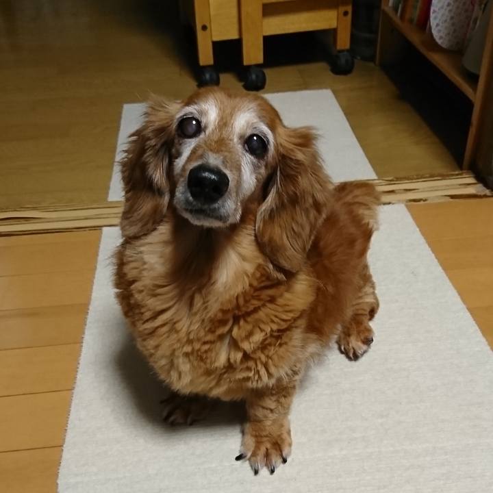 A99b58fa 4928 4559 9129 56ca5b6e70a9 1717089248130