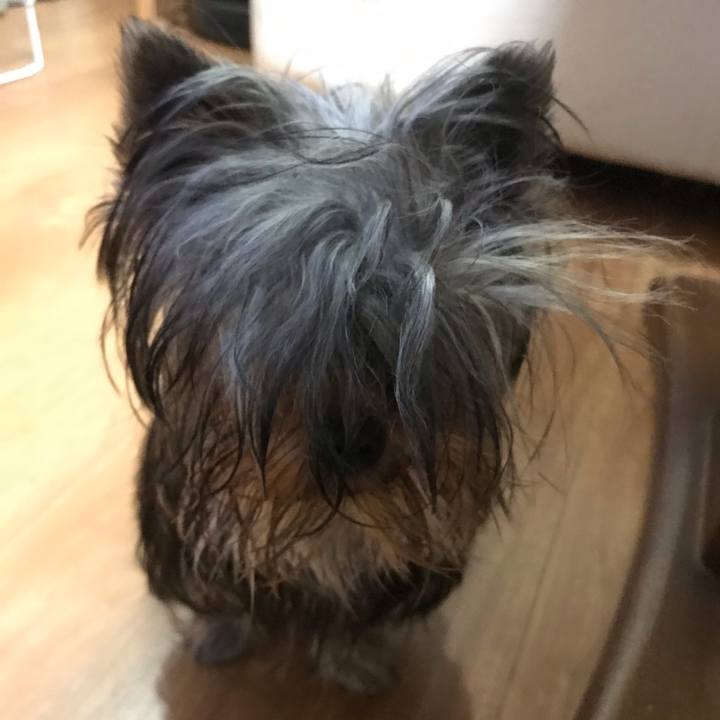 A99b6fa9 32b5 4c77 84ab bc7e4868d280 1629083290392