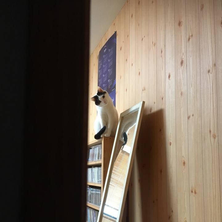 A99b7225 30a2 4795 affa 1f46a19abe03 1560253080842