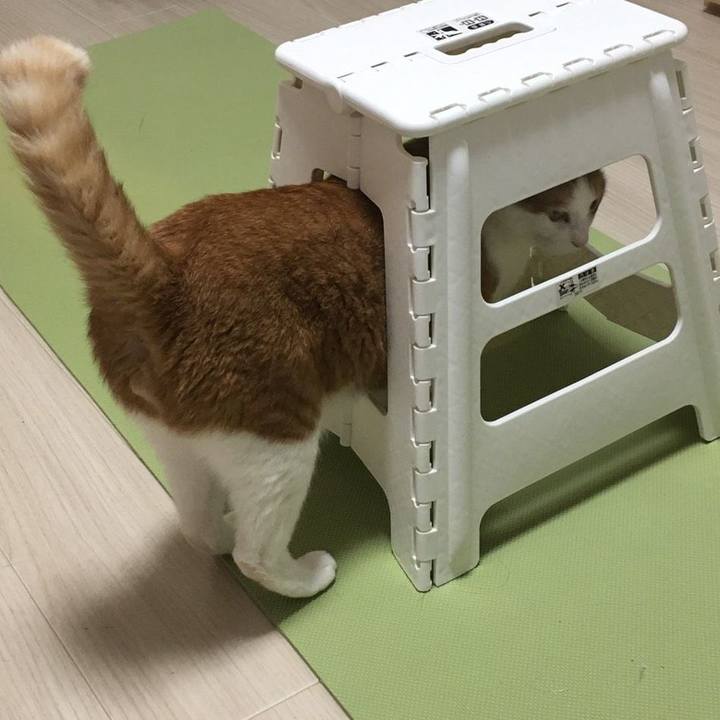 A99bc5ba ef49 4e61 9226 fa3390686f05 1588646301719