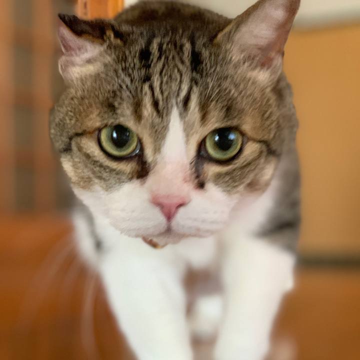 A99bdc15 9336 416f a9db cd4e3e98c9f9 1705756680700