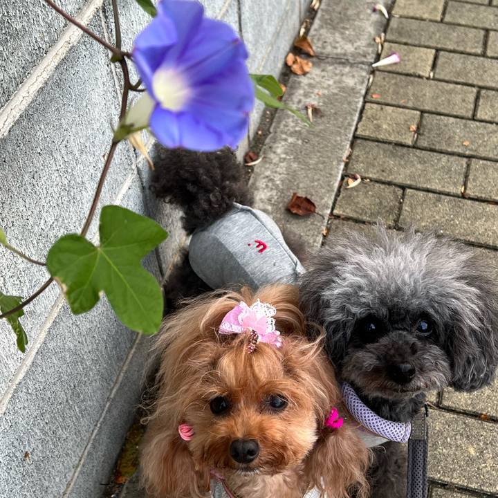 A99c5ca3 2b35 48be b329 19db958b2575 1663110657928