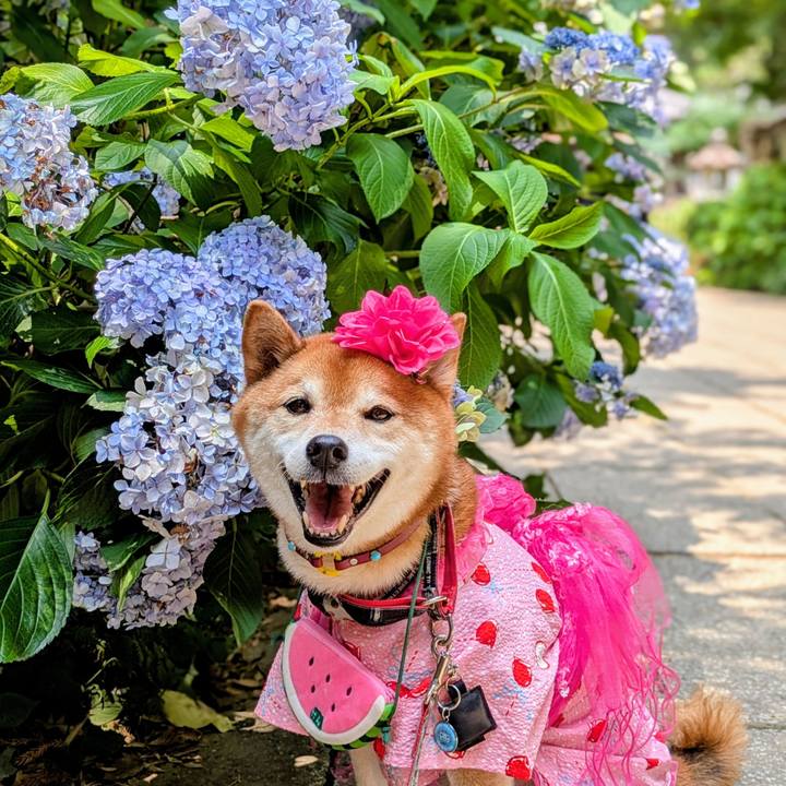 A99c6218 9e07 4ca2 88f0 8e4f933c74eb 1751797538810