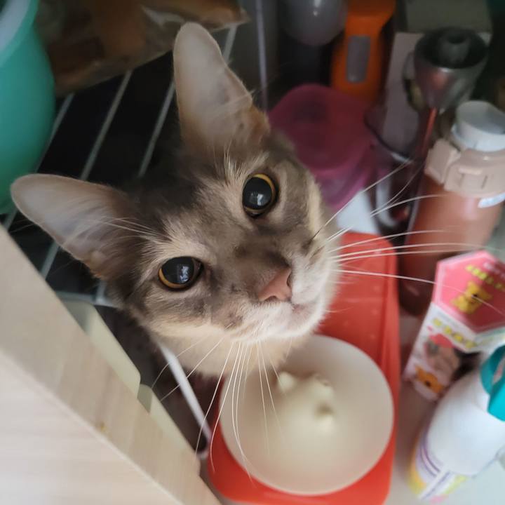 A99c9931 306a 4af8 94eb ffe6b163b7a1 1651064887882