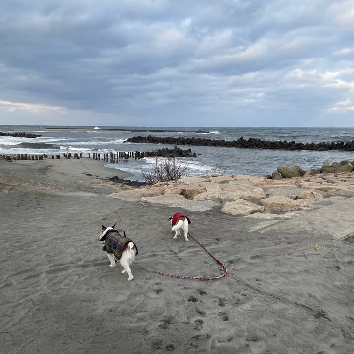 A99ca12b fe01 4b29 a83d 6ce51eb05ad9 1772322126272