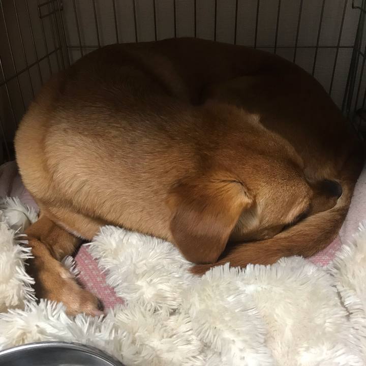 A99cc158 d7ec 40bb aa17 f9719d64ee3e 1554899242626