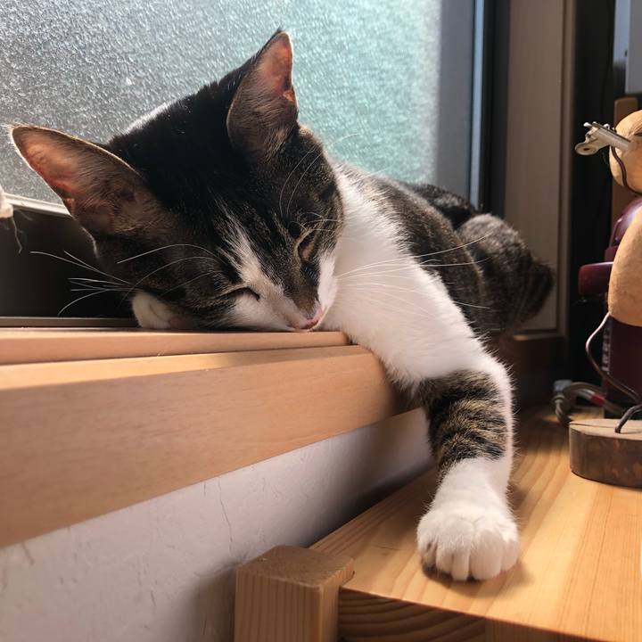 A99cd24c 0f33 4a70 9744 c86dd47e5ea0 1587987068723