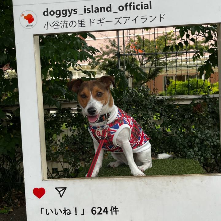 A99cef23 60d1 49c1 94da ae72c2e213a3 1758000535830