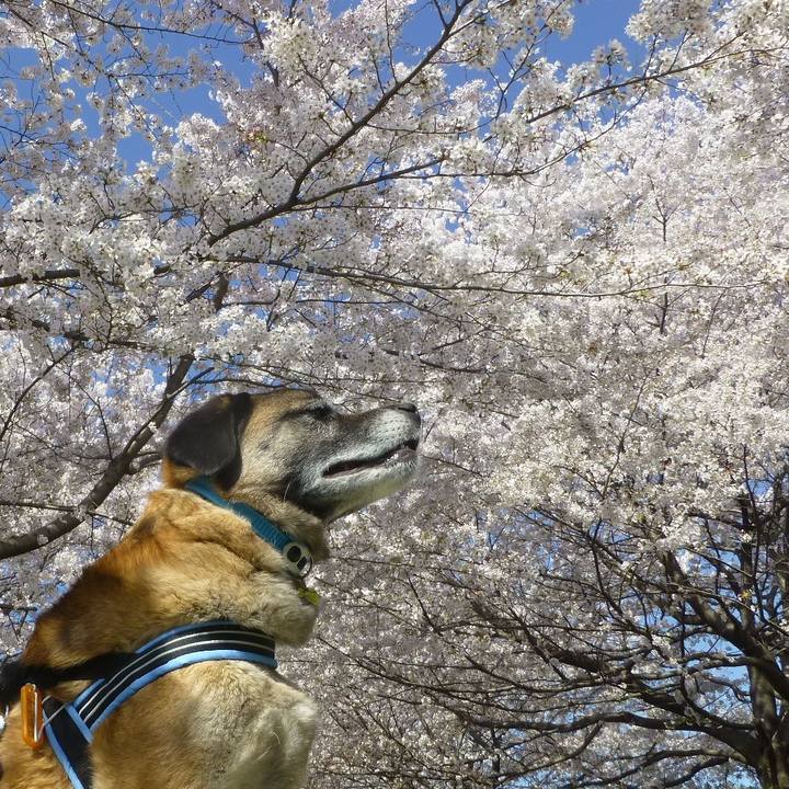 A99d0f47 c16b 475d befa ae332ce6a0ce 1743829444394