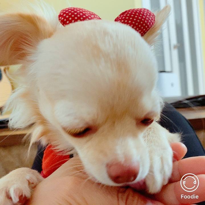 A99d5837 30f6 48f5 a59c c6bd8101bbfa 1609224970762