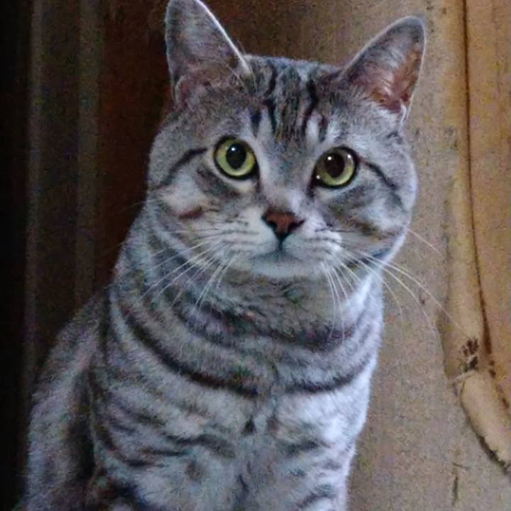 A99d67f4 2149 4189 9815 c215d86194de 1618582965564