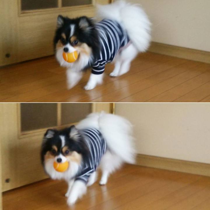 A99d832f aca1 45ff 91c6 7391c0d06b49 1515039598964