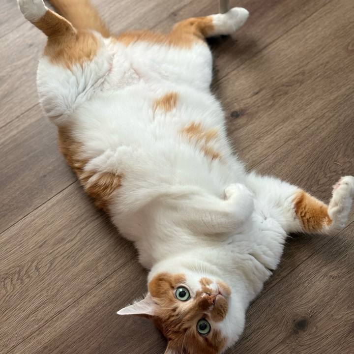 A99dabec 1923 41f7 976f 341125544e63 1758494469980