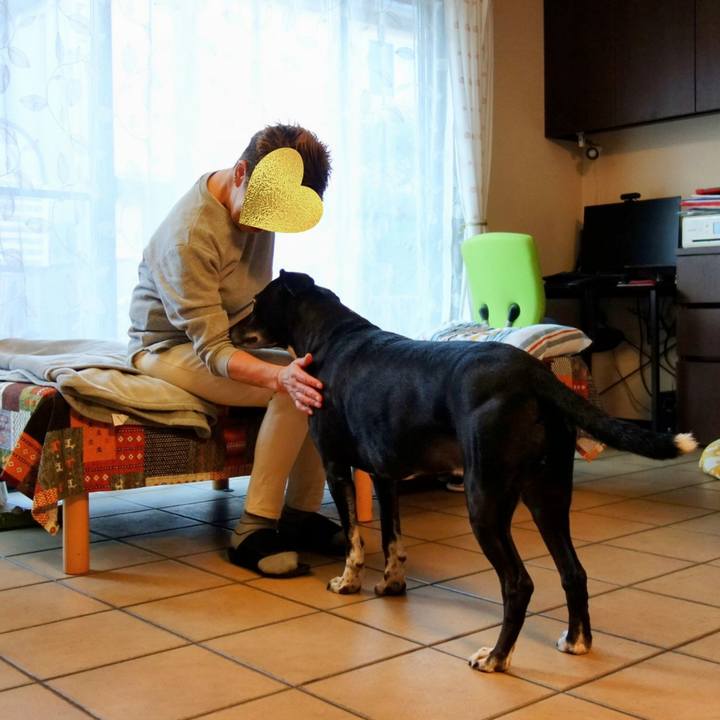 A99dbfa5 62be 42e4 b467 a2d976c29d11 1731372820455