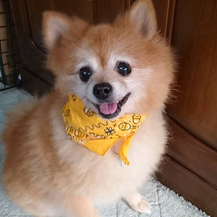 A99dc00b dcf5 4261 85ea fefa6c27dde8 1507901583783